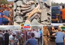 Big Breaking रत्नागिरी – खेडमधील जगबुडी नदी, देवणा पूल येथे सापडली गोवंश जाणवरांची शिंगे आणि कातडी