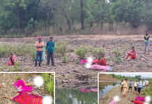 मुलाला वाचवताना आई आणि आत्याचा पिंपळी नदीपात्रामध्ये बुडून मृत्यू