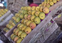 लाजुळमधील आंबा व्यापाऱ्याला तोतया पोलिसांनी सातारा-रत्नागिरी मार्गावर लुटले