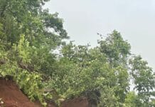 आंबेनळी घाटात कोसळली मोठी दरड, पोलादपूर ते महाबळेश्वर दरम्यानचा मार्ग बंद