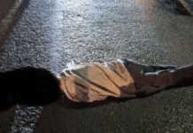 चिपळूणात हिट अँड रन प्रकरण! राष्ट्रवादी नेत्याच्या मुलाच्या कारखाली पादचारी, जागीच मृत्यू, प्रसंगस्थळी संतापाची लाट; पोलिस कारवाईची मागणी