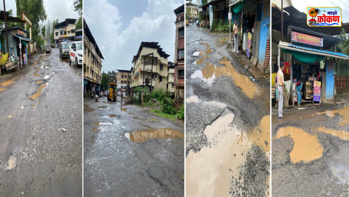 Chiplun Road Potholes 5 Chiplun Road Potholes
