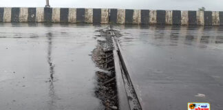 Savitri Bridge