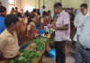 Vegetable Exhibition: सिंधुदुर्गात विद्यार्थ्यांचा अनोखा गावठी बाजार; रानभाज्यांचा जागर Vegetable Exhibition