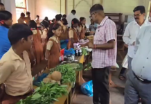 Vegetable Exhibition: सिंधुदुर्गात विद्यार्थ्यांचा अनोखा गावठी बाजार; रानभाज्यांचा जागर Vegetable Exhibition