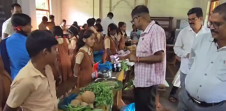 Vegetable Exhibition: सिंधुदुर्गात विद्यार्थ्यांचा अनोखा गावठी बाजार; रानभाज्यांचा जागर Vegetable Exhibition