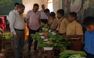 Vegetable Exhibition